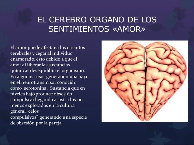 HIPOTALAMO Y LOS SENTIMIENTOS HIPOTALAMO Y LOS SENTIMIENTOS