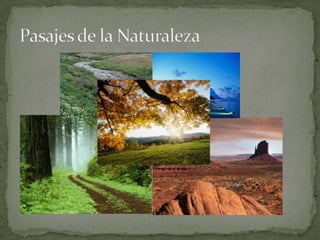 Pasajes de la Naturaleza 