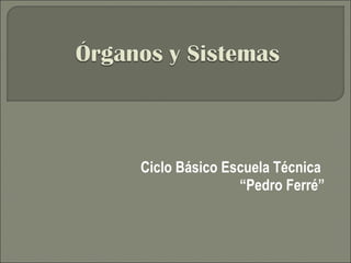 Ciclo Básico Escuela Técnica  “ Pedro Ferré” 
