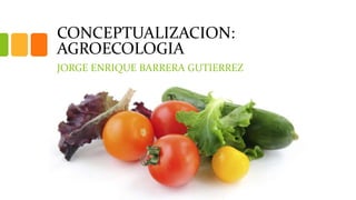 CONCEPTUALIZACION:
AGROECOLOGIA
JORGE ENRIQUE BARRERA GUTIERREZ
 