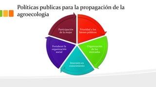 Políticas publicas para la propagación de la
agroecologia
Prioridad a los
bienes públicos
Organización
de los
mercados
Inversión en
conocimiento
Fortalecer la
organización
social
Participación
de la mujer
 