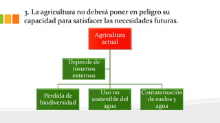 3. La agricultura no deberá poner en peligro su
capacidad para satisfacer las necesidades futuras.
Agricultura
actual
Perdida de
biodiversidad
Uso no
sostenible del
agua
Contaminación
de suelos y
agua
Depende de
insumos
externos
 