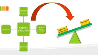 Cambio
climático
Salinización
en zonas
costeras
Merma en
las Pp.
predecibles
Sequias
Inundaciones
 