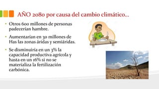AÑO 2080 por causa del cambio climático…
• Otros 600 millones de personas
padecerían hambre.
• Aumentarían en 30 millones de
Has las zonas áridas y semiáridas.
• Se disminuiría en un 3% la
capacidad productiva agrícola y
hasta en un 16% si no se
materializa la fertilización
carbónica.
 