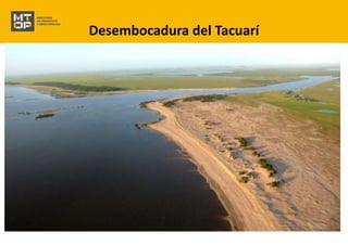 Desembocadura del Tacuarí 
 