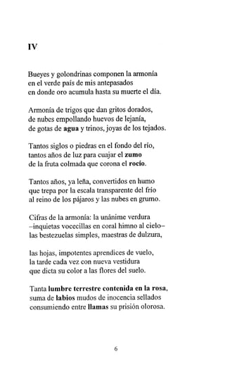 IV
Bueyes y golondrinas componen la armonía
en el verde país de mis antepasados
en donde oro acumula hasta su muerte el día.
Armonía de trigos que dan gritos dorados,
de nubes empollando huevos de lejanía,
de gotas de agua y trinos, joyas de los tejados.
Tantos siglos o piedras en el fondo del río,
tantos años de luz para cuajar el zumo
de la fruta colmada que corona el rocío.
Tantos años, ya leña, convertidos en humo
que trepa por la escala transparente del frío
al reino de los pájaros y las nubes en grumo.
Cifras de la armonía: la unánime verdura
-inquietas vocecillas en coral himno al cielo-
las bestezuelas simples, maestras de dulzura,
las hojas, impotentes aprendices de vuelo,
la tarde cada vez con nueva vestidura
que dicta su color a las flores del suelo.
Tanta lumbre terrestre contenida en la rosa,
suma de labios mudos de inocencia sellados
consumiendo entre llamas su prisión olorosa.
6
 