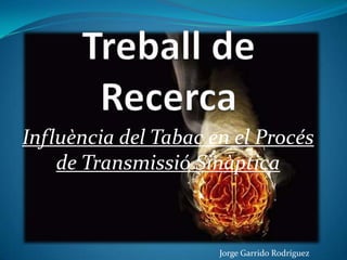 Influència del Tabac en el Procés
    de Transmissió Sinàptica



                      Jorge Garrido Rodríguez
 