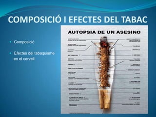 COMPOSICIÓ I EFECTES DEL TABAC

 Composició


 Efectes del tabaquisme
  en el cervell
 
