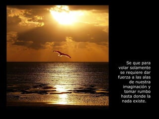 Se que para volar solamente se requiere dar fuerza a las alas de nuestra imaginación y tomar rumbo hasta donde la nada existe.  