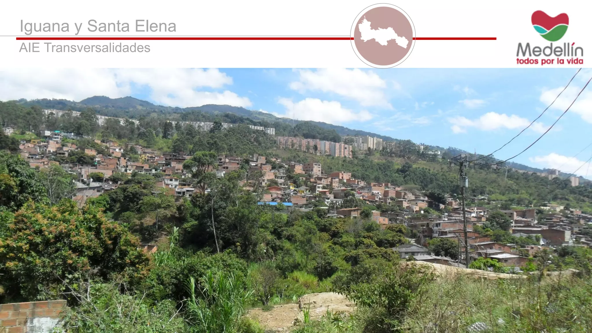 Iguana y Santa Elena
AIE Transversalidades
 