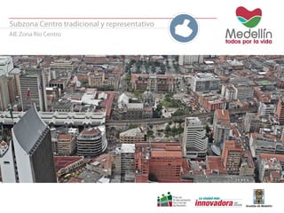Subzona Centro tradicional y representativo 
AIE Zona Río Centro 
 