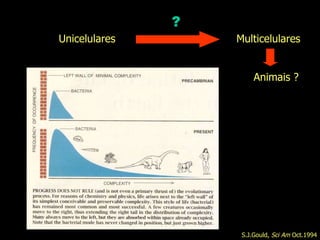 S.J.Gould,  Sci Am  Oct.1994 Unicelulares  Multicelulares Animais ? ? 