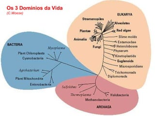Os 5 Reinos Os 3 Domínios da Vida (C.Woese) 