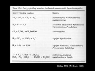 Stetter, 1998 (IN: Brack, 1998) 