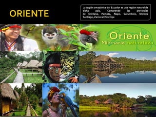La región amazónica del Ecuador es una región natural de
dicha país. Comprende las provincias
de Orellana, Pastaza, Napo, Sucumbíos, Morona
Santiago, Zamora Chinchipe
 