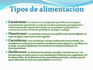 Carnívoros: Un carnívoro es un organismo que obtiene sus energías y requerimientos nutricionales a través de una dieta consistente principalmente o exclusivamente del consumo de animales, ya sea mediante la depredación o consumo de carroña. El término preferido en ecología es zoófago.Omnívoros: Los animales omnívoros son aquéllos cuyo sistema digestivo es capaz de digerir tanto carnes como vegetales.Carroñeros: es un animal que consume cadáveres de otros animales. Los carroñeros son útiles para el ecosistema al eliminar restos orgánicos y contribuir a su reciclaje. Los restos dejados por los carroñeros son después usados por los descomponedores. Herbívoros: Se alimentan de proteínas animales, como huevos, etc. Los humanos que no comen carne no son considerados herbívoros sino vegetarianos. En la cadena trófica, los herbívoros son los consumidores primarios, mientras que los que se alimentan de carne son consumidores secundarios.Tipos de alimentación