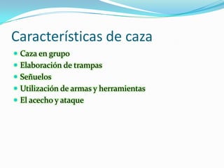 Características de caza Caza en grupoElaboración de trampasSeñuelosUtilización de armas y herramientasEl acecho y ataque