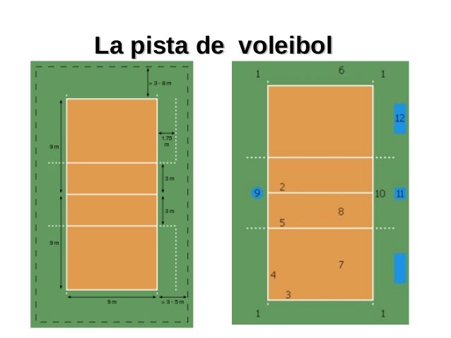 Resultado de imagen para pista de voleibol