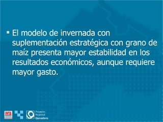 El modelo de invernada con suplementación estratégica con grano de maíz presenta mayor estabilidad en los resultados económicos, aunque requiere mayor gasto. 