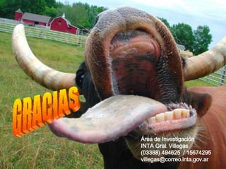 GRACIAS Área de Investigación INTA Gral. Villegas (03388) 494625  / 15674295 [email_address] 