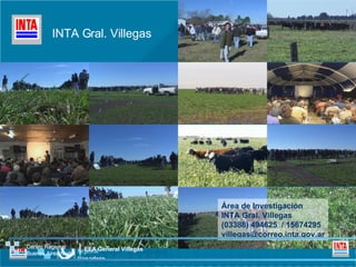 Área de Investigación INTA Gral. Villegas (03388) 494625  / 15674295 [email_address] INTA Gral. Villegas Centro Regional Buenos Aires Norte EEA   General Villegas 