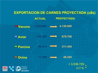 1.528.800 139.385 - 49.074 11.540 ACTUAL EXPORTACION DE CARNES PROYECTADA (u$s) Vacuna Aviar Porcina Ovina + 3.536.729 4.130.000 679.700 311.454 46.226 PROYECTADA 217 % 