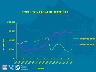 EVOLUCION FAENA DE TERNERAS 0 50.000 100.000 150.000 200.000 meses Nº cabezas E/06 M/07 A/07 M/07 F/07 E/07 D/06 N/06 O/06 S/06 A/06 J/06 J/06 M/06 A/06 M/06 F/06 Terneras 05/06 Terneras 06/07 