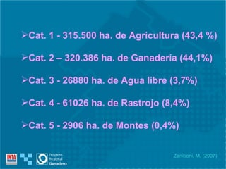 Cat. 1 - 315.500 ha. de Agricultura (43,4 %) Cat. 2 – 320.386 ha. de Ganadería (44,1%) Cat. 3 - 26880 ha. de Agua libre (3,7%) Cat. 4 - 61026 ha. de Rastrojo (8,4%) Cat. 5 - 2906 ha. de Montes (0,4%) Zaniboni, M. (2007) 