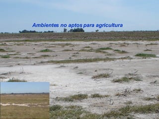 Ambientes no aptos para agricultura 