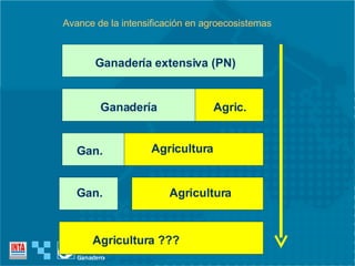 Avance de la intensificación en agroecosistemas Ganadería extensiva (PN) Ganadería Agric. Gan. Agricultura Gan. Agricultura Agricultura ??? 