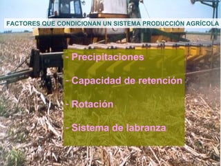 FACTORES QUE CONDICIONAN UN SISTEMA  PRODUCCIÓN AGRÍCOLA Precipitaciones Capacidad de retención Rotación Sistema de labranza 