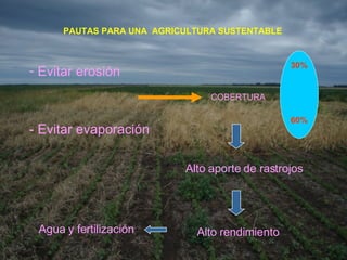 PAUTAS PARA UNA  AGR I C U L TURA  SUSTENTABLE Evitar erosión COBERTURA 30% 60% Alto aporte de rastrojos Alto rendimiento Agua y fertilización -  Evitar evaporación 
