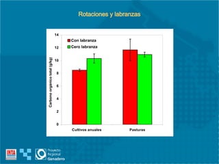 Rotaciones y labranzas 
