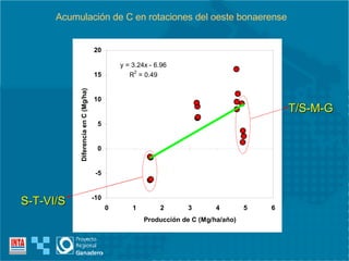 Acumulación de C en rotaciones del oeste bonaerense T/S-M-G S-T-VI/S 