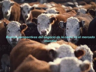 Buenas perspectivas del negocio de la carne en el mercado mundial 