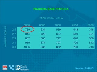 PRADERA BASE FESTUCA ANIMALES  POR  HA PRODUCCIÓN  KG/HA Méndez, D. (2007) 718 790 862 935 1006 3.3 643 720 797 874 950 3.1 558 640 722 805 887 2.9 461 549 637 726 814 2.7 348 443 539 634 730 2.5 8000 7500 7000 6500 6000 