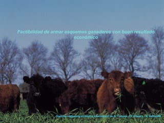 Factibilidad de armar esquemas ganaderos con buen resultado económico Sección elaborada en base a información de R. Canosa, J.P. Russi y . N. Bertolotti 
