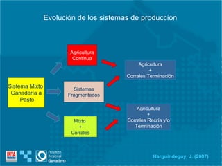 Evolución de los sistemas de producción Sistema Mixto  Ganadería a Pasto Agricultura Continua Sistemas Fragmentados Agricultura + Corrales Terminación Mixto  + Corrales Agricultura + Corrales Recría y/o Terminación Harguindeguy, J. (2007) 