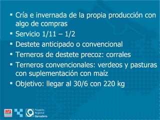 Cría e invernada de la propia producción con algo de compras Servicio 1/11 – 1/2 Destete anticipado o convencional Terneros de destete precoz: corrales Terneros convencionales: verdeos y pasturas con suplementación con maíz Objetivo: llegar al 30/6 con 220 kg 