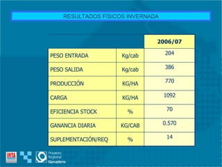 RESULTADOS FÍSICOS INVERNADA 14 % SUPLEMENTACIÓN/REQ 0.570 KG/CAB GANANCIA DIARIA 70 % EFICIENCIA STOCK 1092 KG/HA CARGA 770 KG/HA PRODUCCIÓN 386 Kg/cab PESO SALIDA 204 Kg/cab PESO ENTRADA 2006/07 