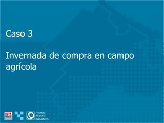 Caso 3 Invernada de compra en campo agrícola 