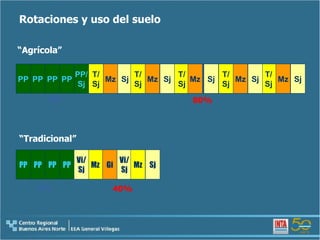 Rotaciones y uso del suelo “ Agrícola” “ Tradicional” T/ Sj Mz Sj PP PP PP/ Sj PP PP T/ Sj T/ Sj T/ Sj T/ Sj Mz Mz Mz Mz Sj Sj Sj Sj 20% 80% PP PP PP PP Mz Gi Vi/ Sj Vi/ Sj Sj Mz 60% 40% 