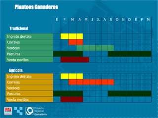 Tradicional Agricola Planteos Ganaderos Pasturas Ingreso destete Corrales Venta novillos Verdeos Pasturas Venta novillos Verdeos Corrales Ingreso destete M F E D N O S A JL J M A M F E 