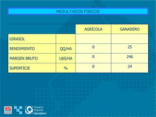 RESULTADOS FÍSICOS 24 0 % SUPERFICIE 246 0 U$S/HA MARGEN BRUTO 25 0 QQ/HA RENDIMIENTO GIRASOL GANADERO AGRÍCOLA 