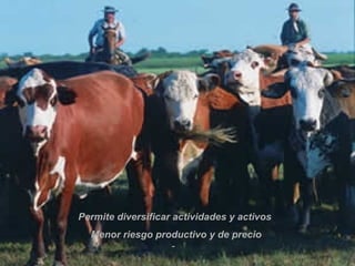 Permite diversificar actividades y activos  Menor riesgo productivo y de precio 