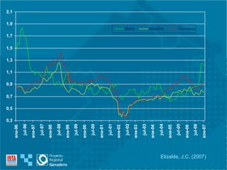 Elizalde, J.C. (2007) 