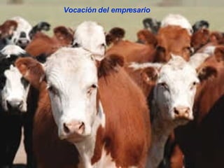 Vocación del empresario 