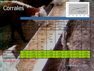 Corrales  Harguideguy, J. (2007) 