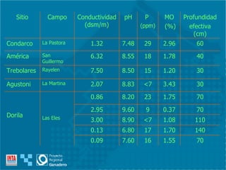 70 1.55 16 7.60 0.09 140 1.70 17 6.80 0.13 110 1.08 <7 8.90 3.00 70 0.37 9 9.60 2.95 70 1.75 23 8.20 0.86 Las Eles Dorila 30 3.43 <7 8.83 2.07 La Martina Agustoni 30 1.20 15 8.50 7.50 Rayelen Trebolares 40 1.78 18 8.55 6.32 San Guillermo América 60 2.96 29 7.48 1.32 La Pastora Condarco Profundidad  efectiva (cm) MO (%) P  (ppm) pH Conductividad (dsm/m) Campo Sitio 