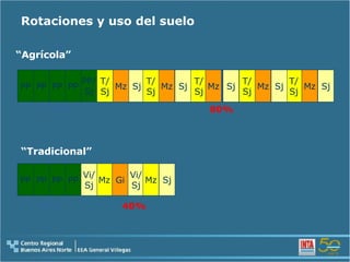 Rotaciones y uso del suelo “ Agrícola” “ Tradicional” T/ Sj Mz Sj PP PP PP/ Sj PP PP T/ Sj T/ Sj T/ Sj T/ Sj Mz Mz Mz Mz Sj Sj Sj Sj 20% 80% PP PP PP PP Mz Gi Vi/ Sj Vi/ Sj Sj Mz 60% 40% 
